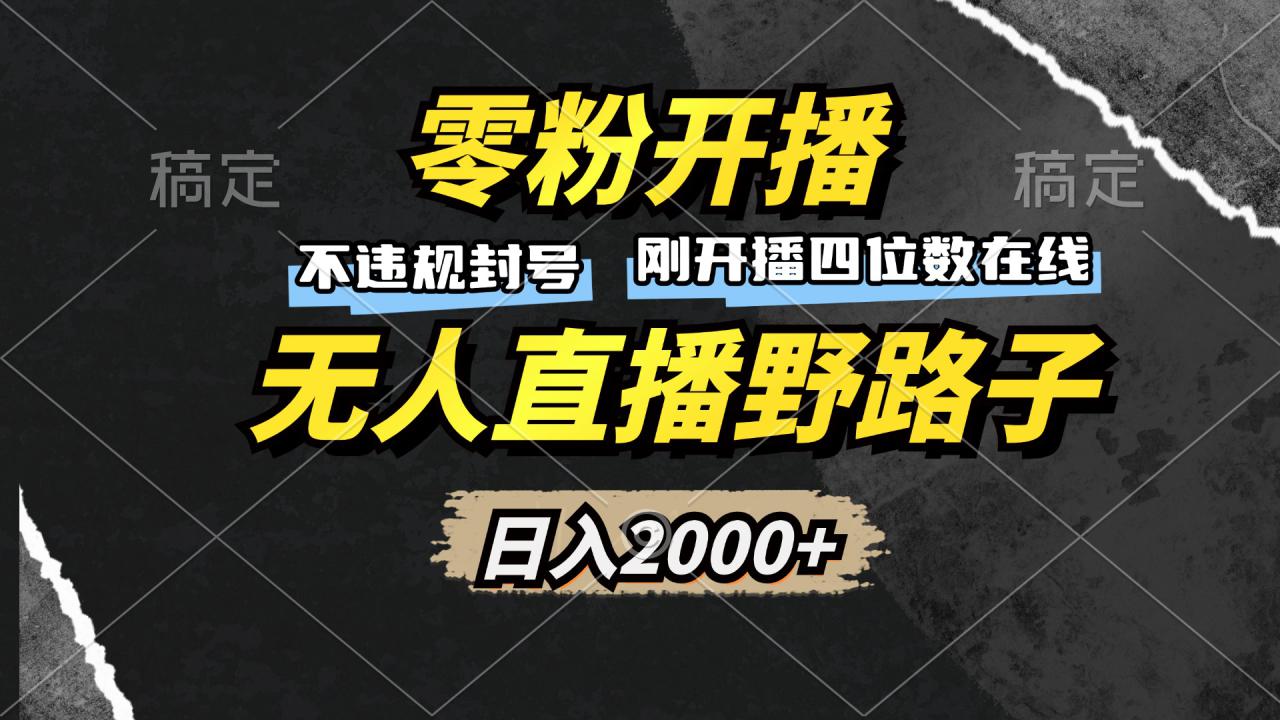 （13292期）零粉开播，无人直播野路子，日入2000+，不违规封号，躺赚收益！_生财有道创业项目网-资源-项目-副业-兼职-创业-大叔的库-大叔的库