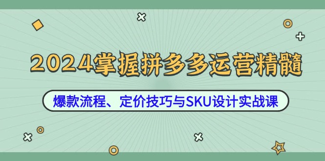 （12703期）2024掌握拼多多运营精髓：爆款流程、定价技巧与SKU设计实战课_生财有道创业网-资源-项目-副业-兼职-创业-大叔的库-大叔的库