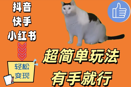 超简单玩法，有手就行，靠猫咪视频日入500+【揭秘】——生财有道创业项目网-资源-项目-副业-兼职-创业-大叔的库-大叔的库