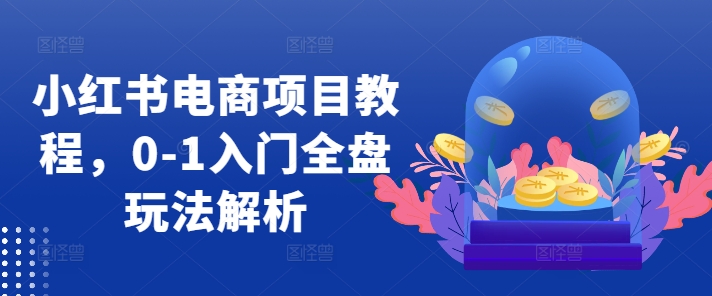 小红书电商项目教程，0-1入门全盘玩法解析——生财有道创业项目网-资源-项目-副业-兼职-创业-大叔的库-大叔的库