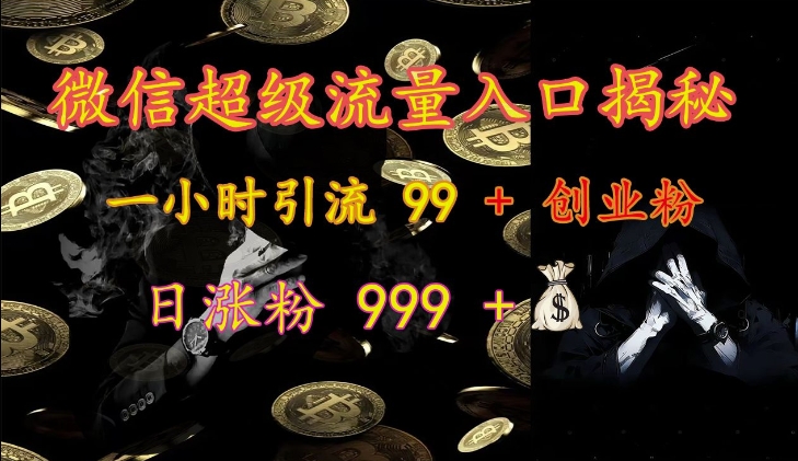 微信超级流量入口揭秘：一小时引流 99 + 创业粉，日涨粉 999 +_生财有道创业网-资源-项目-副业-兼职-创业-大叔的库-大叔的库