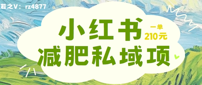 小红书减肥粉，私域变现项目，一单就达210元，小白也能轻松上手【揭秘】——生财有道创业网-资源-项目-副业-兼职-创业-大叔的库-大叔的库