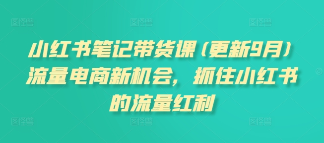 小红书笔记带货课(更新10月)流量电商新机会，抓住小红书的流量红利——生财有道创业项目网-资源-项目-副业-兼职-创业-大叔的库-大叔的库