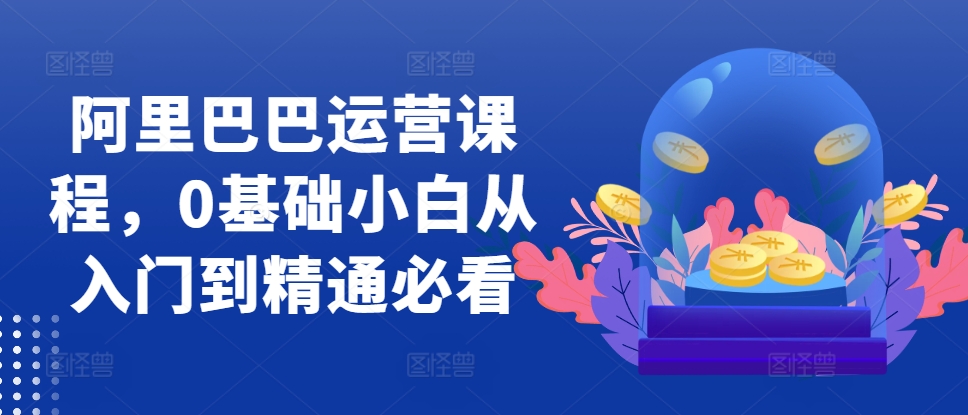 阿里巴巴运营课程，0基础小白从入门到精通必看_生财有道创业网-资源-项目-副业-兼职-创业-大叔的库-大叔的库