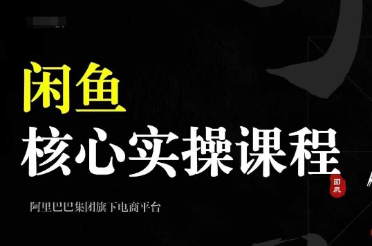 2024闲鱼核心实操课程，从养号、选品、发布、销售，教你做一个出单的闲鱼号_生财有道创业网-资源-项目-副业-兼职-创业-大叔的库-大叔的库