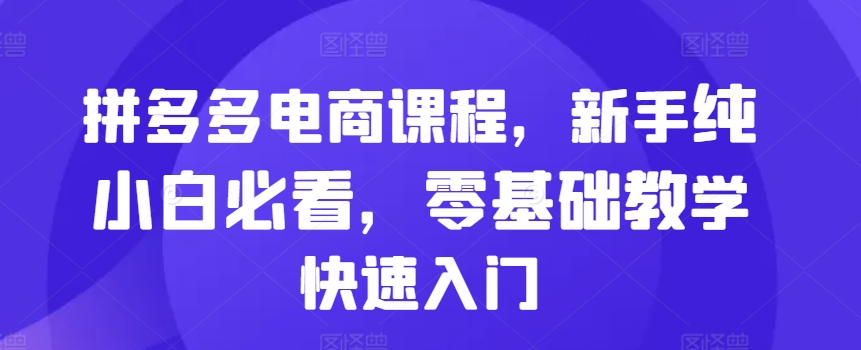 拼多多电商课程，新手纯小白必看，零基础教学快速入门_生财有道创业网-资源-项目-副业-兼职-创业-大叔的库-大叔的库