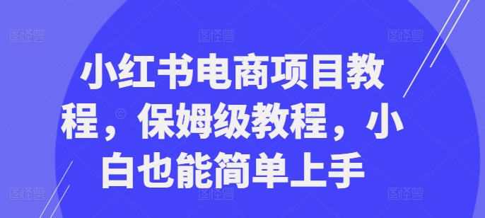 小红书电商项目教程，保姆级教程，小白也能简单上手——生财有道创业项目网-资源-项目-副业-兼职-创业-大叔的库-大叔的库