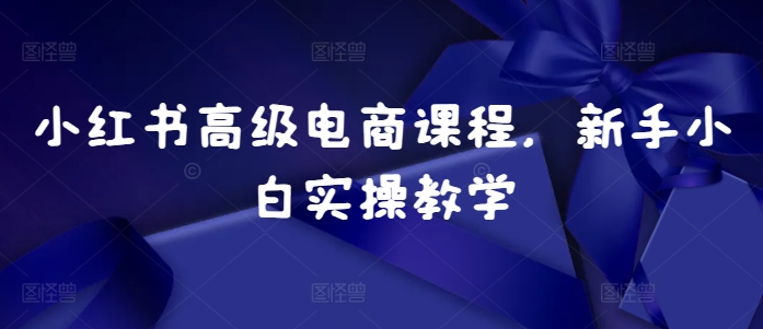 小红书高级电商课程，新手小白实操教学_生财有道创业网-资源-项目-副业-兼职-创业-大叔的库-大叔的库