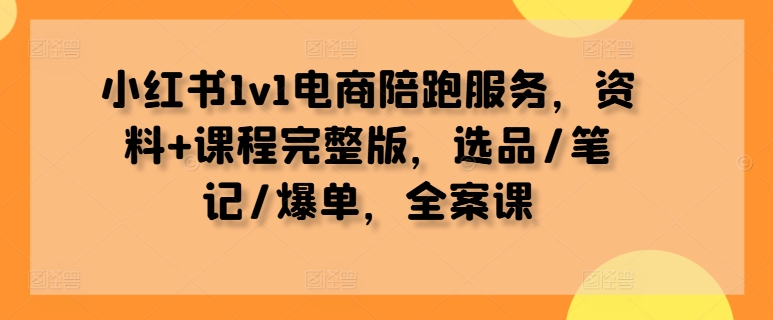 小红书1v1电商陪跑服务，资料+课程完整版，选品/笔记/爆单，全案课——生财有道创业网-资源-项目-副业-兼职-创业-大叔的库-大叔的库