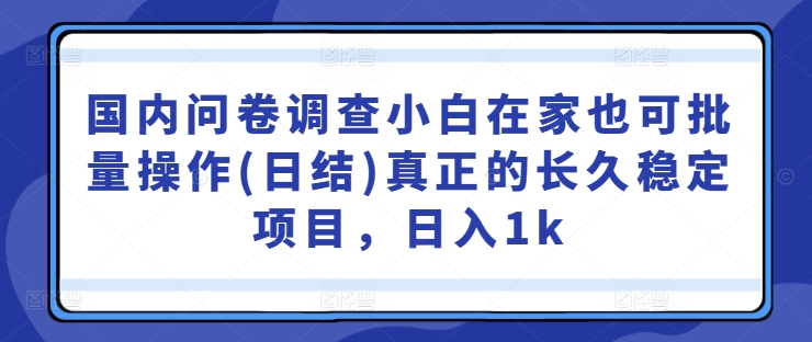 国内问卷调查小白在家也可批量操作(日结)真正的长久稳定项目，日入1k【揭秘】——生财有道创业网-资源-项目-副业-兼职-创业-大叔的库-大叔的库