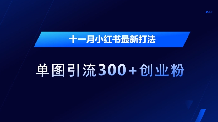 十一月小红书最新打法，单图引流300+创业粉【揭秘】_生财有道创业网-资源-项目-副业-兼职-创业-大叔的库-大叔的库