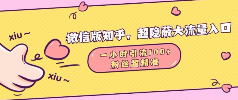 微信版知乎，超隐蔽流量入口1小时引流100人，粉丝质量超高【揭秘】_生财有道创业网-资源-项目-副业-兼职-创业-大叔的库-大叔的库