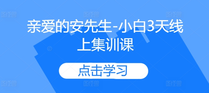 亲爱的安先生-小白3天线上集训课——生财有道创业项目网-资源-项目-副业-兼职-创业-大叔的库-大叔的库