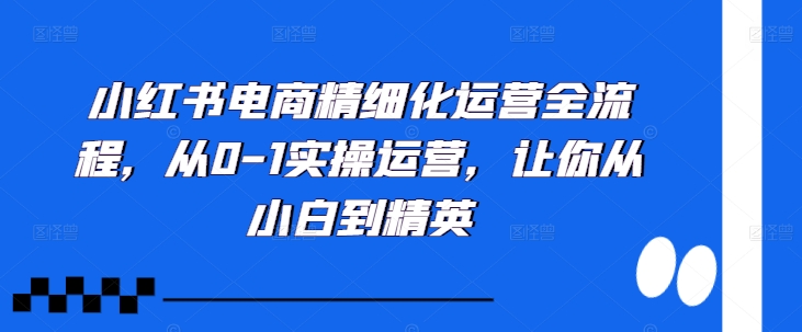 小红书电商精细化运营全流程，从0-1实操运营，让你从小白到精英——生财有道创业项目网-资源-项目-副业-兼职-创业-大叔的库-大叔的库