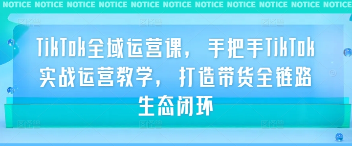 TikTok全域运营课，手把手TikTok实战运营教学，打造带货全链路生态闭环——生财有道创业网-资源-项目-副业-兼职-创业-大叔的库-大叔的库