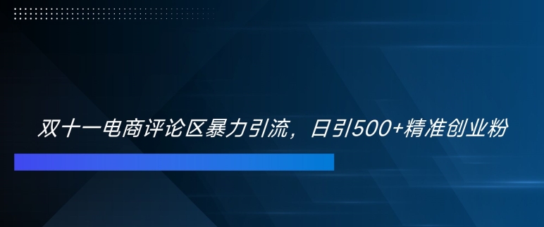 双十一电商评论区暴力引流，日引500+精准创业粉【揭秘】——生财有道创业项目网-资源-项目-副业-兼职-创业-大叔的库-大叔的库