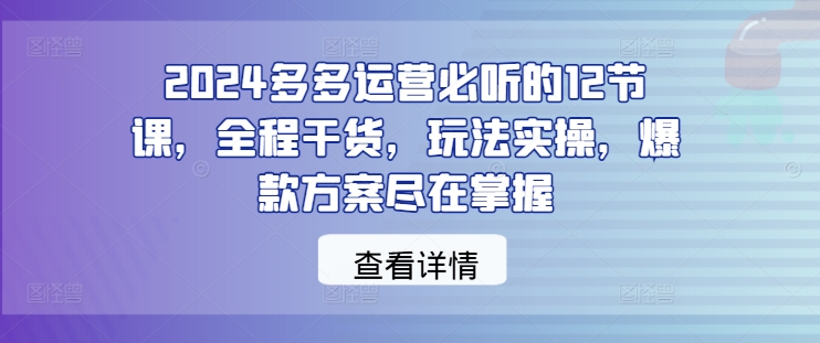 2024多多运营必听的12节课，全程干货，玩法实操，爆款方案尽在掌握——生财有道创业网-资源-项目-副业-兼职-创业-大叔的库-大叔的库