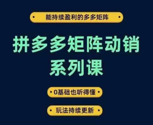 拼多多矩阵动销系列课，能持续盈利的多多矩阵，0基础也听得懂，玩法持续更新——生财有道创业网-资源-项目-副业-兼职-创业-大叔的库-大叔的库