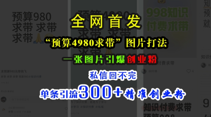 小红书“预算4980带我飞”图片打法，一张图片引爆创业粉，私信回不完，单条引流300+精准创业粉——生财有道创业项目网-资源-项目-副业-兼职-创业-大叔的库-大叔的库