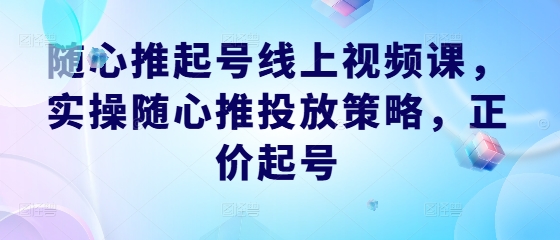 随心推起号线上视频课，实操随心推投放策略，正价起号——生财有道创业网-资源-项目-副业-兼职-创业-大叔的库-大叔的库