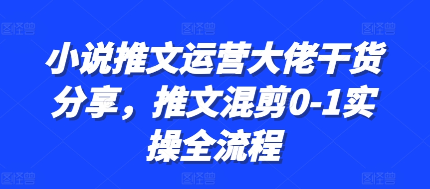 小说推文运营大佬干货分享，推文混剪0-1实操全流程——生财有道创业项目网-资源-项目-副业-兼职-创业-大叔的库-大叔的库