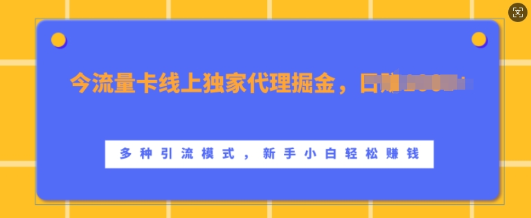 流量卡线上独家代理掘金，日入1k+ ，多种引流模式，新手小白轻松上手【揭秘】——生财有道创业项目网-资源-项目-副业-兼职-创业-大叔的库-大叔的库