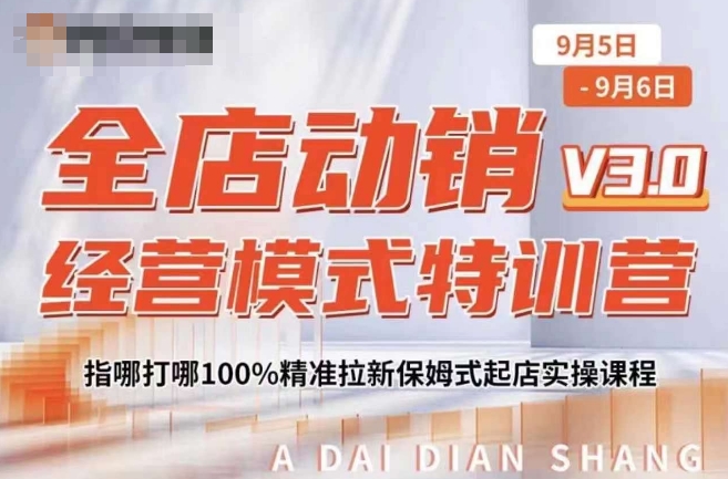 全店动销经营模式特训营，指哪打哪100%精准拉新保姆式起店实操课程——生财有道创业项目网-资源-项目-副业-兼职-创业-大叔的库-大叔的库