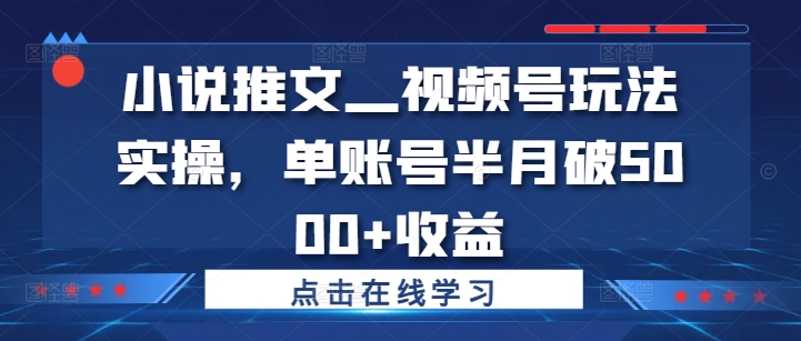 小说推文—视频号玩法实操，单账号半月破5000+收益——生财有道创业项目网-资源-项目-副业-兼职-创业-大叔的库-大叔的库