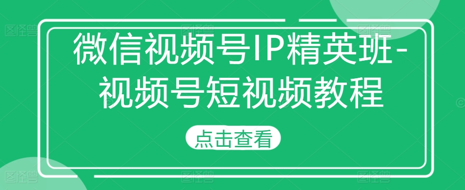 微信视频号IP精英班-视频号短视频教程——生财有道创业项目网-资源-项目-副业-兼职-创业-大叔的库-大叔的库