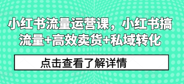 小红书流量运营课，小红书搞流量+高效卖货+私域转化——生财有道创业网-资源-项目-副业-兼职-创业-大叔的库-大叔的库