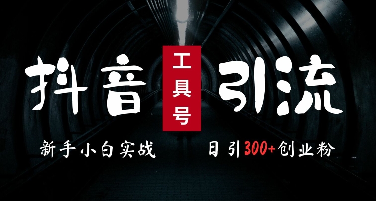 2024最新抖音工具号引流玩法，高效日引300+创业粉，当天变现5k，小白也可成为实战高手——生财有道创业项目网-资源-项目-副业-兼职-创业-大叔的库-大叔的库