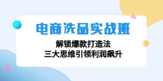 （12398期）电商选品实战班：解锁爆款打造法，三大思维引领利润飙升_生财有道创业网-资源-项目-副业-兼职-创业-大叔的库-大叔的库