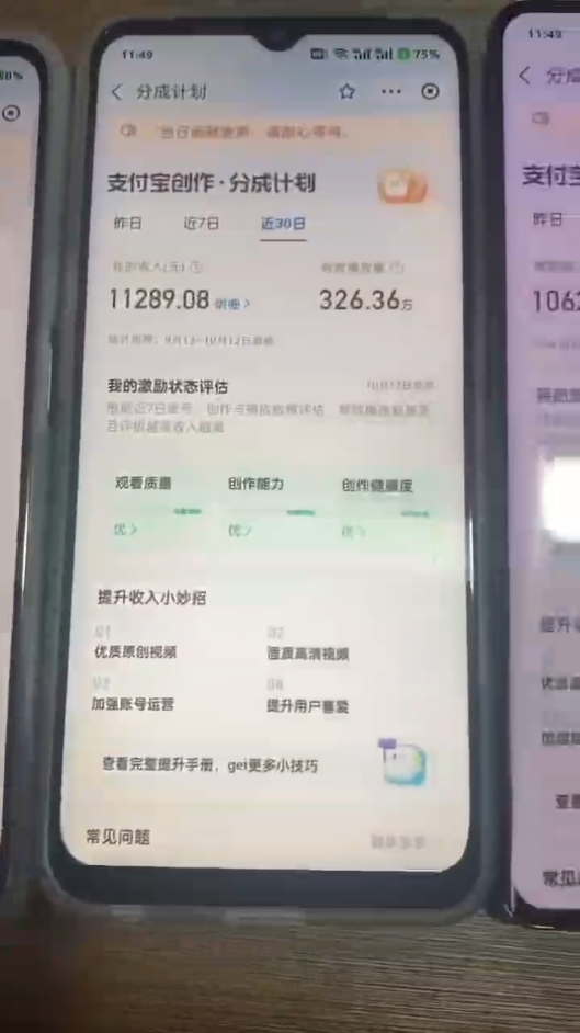 （12970期）2024年底最稳项目，小白无门槛，坚持做三个月，回家过肥年！！！_生财有道创业项目网-资源-项目-副业-兼职-创业-大叔的库-大叔的库