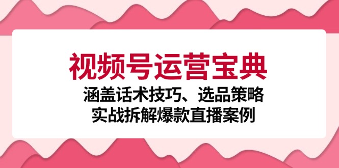（12808期）视频号运营宝典：涵盖话术技巧、选品策略、实战拆解爆款直播案例_生财有道创业项目网-资源-项目-副业-兼职-创业-大叔的库-大叔的库