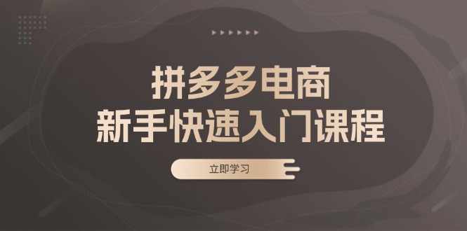 （13289期）拼多多电商新手快速入门课程：涵盖基础、实战与选款，助力小白轻松上手_生财有道创业项目网-资源-项目-副业-兼职-创业-大叔的库-大叔的库