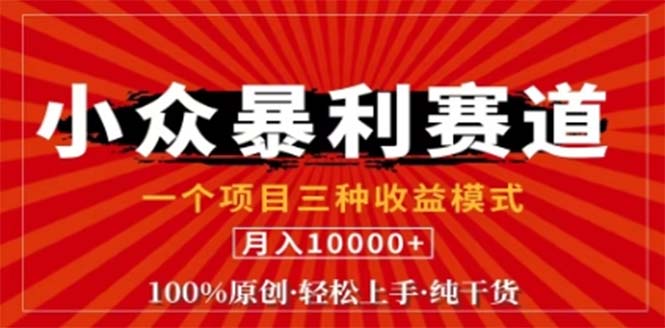 （12756期）视频号最新爆火赛道，三种可收益模式，0粉新号条条原创条条热门 日入1000+_生财有道创业网-资源-项目-副业-兼职-创业-大叔的库-大叔的库