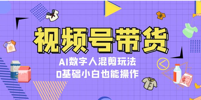 （13359期）视频号带货，AI数字人混剪玩法，0基础小白也能操作_生财有道创业项目网-资源-项目-副业-兼职-创业-大叔的库-大叔的库