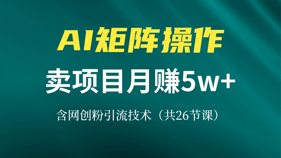 （13335期）网创IP打造课，借助AI卖项目月赚5万+，含引流技术（共26节课）_生财有道创业项目网-资源-项目-副业-兼职-创业-大叔的库-大叔的库