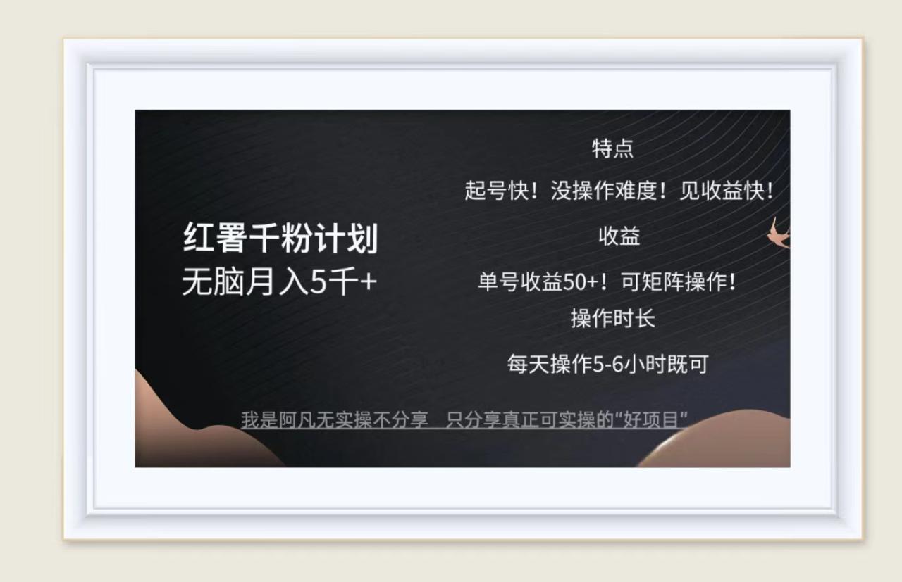 （12560期）红薯千粉计划无脑月入5千+！既做既赚！_生财有道创业网-资源-项目-副业-兼职-创业-大叔的库-大叔的库