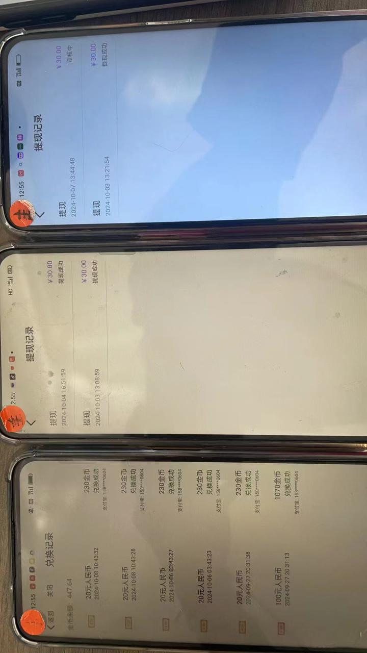 （12953期）语聊自刷掘金，当天学会，当天见收益，轻松日入300+_生财有道创业项目网-资源-项目-副业-兼职-创业-大叔的库-大叔的库
