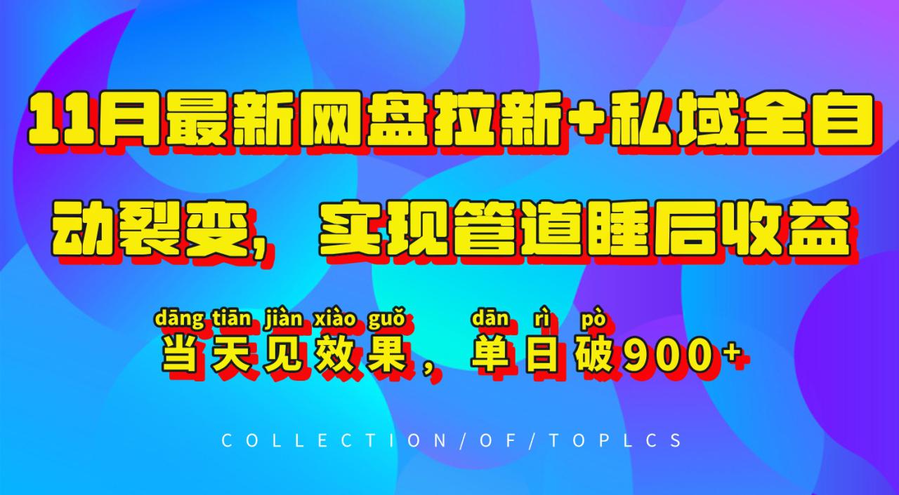11月最新网盘拉新+私域全自动裂变，实现管道睡后收益，当天见效果，单日破900+_生财有道创业网-资源-项目-副业-兼职-创业-大叔的库-大叔的库