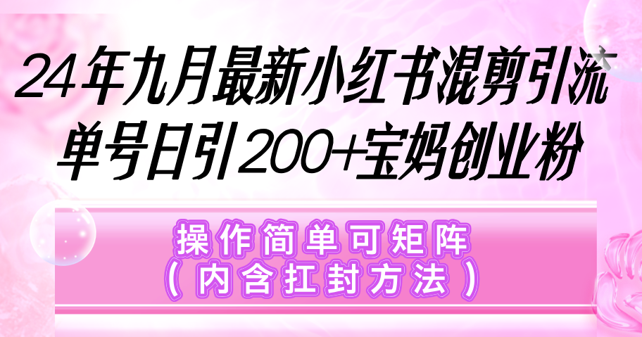 （12530期）小红书混剪引流，单号日引200+宝妈创业粉，操作简单可矩阵（内含扛封…_生财有道创业网-资源-项目-副业-兼职-创业-大叔的库-大叔的库