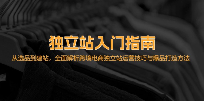 独立站入门指南：从选品到建站，全面解析跨境电商独立站运营技巧与爆品打造方法_生财有道创业网-资源-项目-副业-兼职-创业-大叔的库-大叔的库