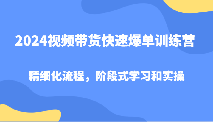 2024视频带货快速爆单训练营，精细化流程，阶段式学习和实操_生财有道创业网-资源-项目-副业-兼职-创业-大叔的库-大叔的库