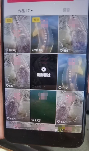 外面卖399的国学佛像原创暴力起号技术，快速起号，7天可达到一个万粉号——生财有道创业项目网-资源-项目-副业-兼职-创业-大叔的库-大叔的库