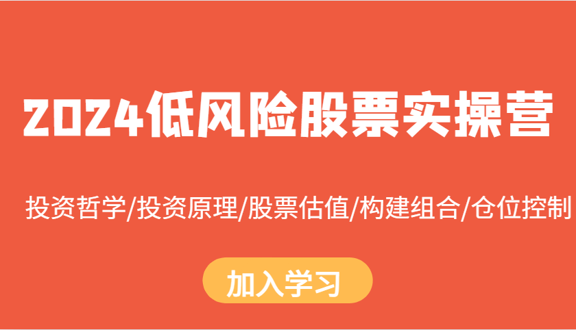 2024低风险股票实操营：投资哲学/投资原理/股票估值/构建组合/仓位控制_生财有道创业网-资源-项目-副业-兼职-创业-大叔的库-大叔的库