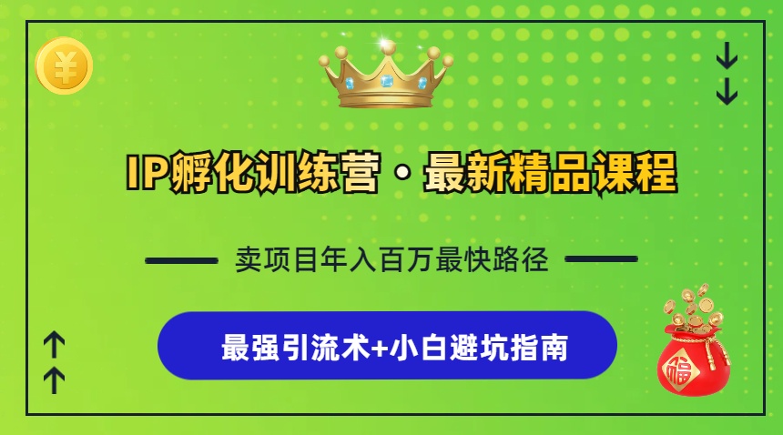 （13055期）IP孵化训练营，知识付费全流程+最强引流术+小白避坑指南_生财有道创业项目网-资源-项目-副业-兼职-创业-大叔的库-大叔的库