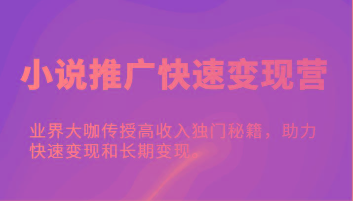 小说推广快速变现营-业界大咖传授高收入独门秘籍，助力快速变现和长期变现。_生财有道创业网-资源-项目-副业-兼职-创业-大叔的库-大叔的库