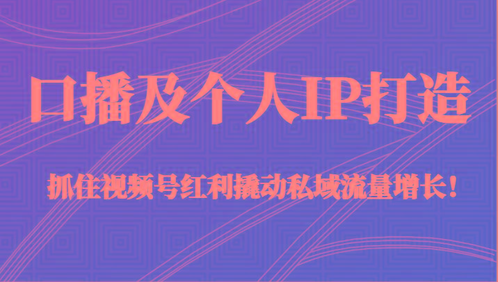 口播及个人IP打造，抓住视频号红利撬动私域流量增长！（45节课）_生财有道创业网-资源-项目-副业-兼职-创业-大叔的库-大叔的库
