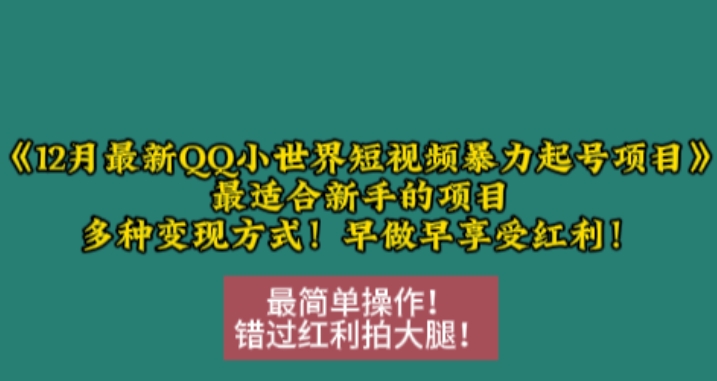 12月最新QQ小世界短视频暴力起号项目，最适合新手的项目，多种变现方式_大叔资源库-大叔资源库-资源-项目-副业-兼职-创业-大叔的库-大叔的库